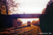 Międzychód 1994