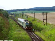 SU46-008