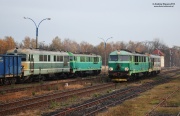 Zielone i żółty