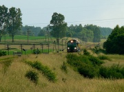 SU46-009