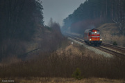Krzyż - Piła 2025