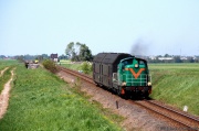 SP42-260
