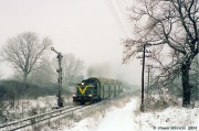 Jeleń zimą