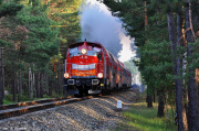 SU42-521
