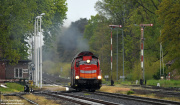 SU42-501