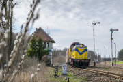 Zaczątki wiosny