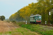 Luzak z Paczkowa