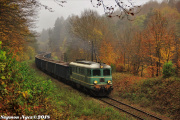 Ostatnia jesień ST43-366
