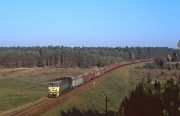 ST44-1113