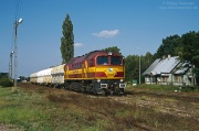 Jeleń