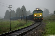 ST44-313