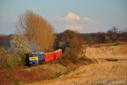 M62-1556