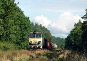 ST44-1113