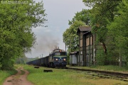 ST44-1113