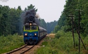 ST44-1208