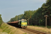 ST44-313