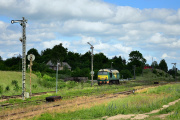 ST44-313