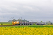 M62M-005