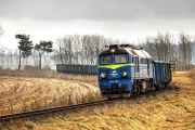 ST44-1219