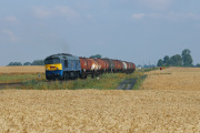 M62-1891 buszujący w zbożu