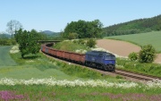 M62-1296