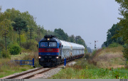 M62-2006