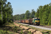 ST44-313