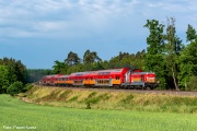SU42-521 Krojanty