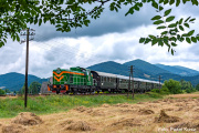 SM42-742 Łososina