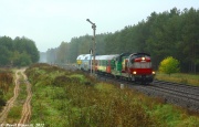 SM42-539+SP32-204 z "Borowikiem"