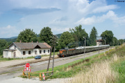 Transwersalny w Kasinie Wielkiej