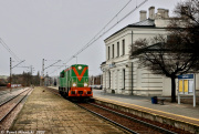 Chojny na biegu