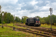 TEM2-292 na Borze Górnym