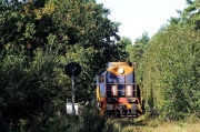 TEM2-148