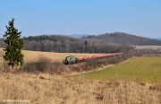 Tamarka w górkach