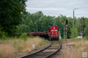 TEM2-261