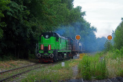 TEM2-259