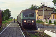 Mrocza krzyżowanie
