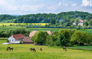 Do Kopalni Bazaltu Wilków I