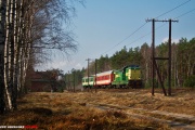SP32-202