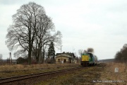 Wiosenna Skórka
