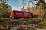 Lxd2-333