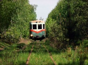 MBxd1-204