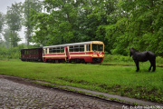 Popiele w deszczu