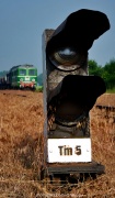Tm5