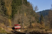 810 157-8