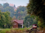 810 362-4