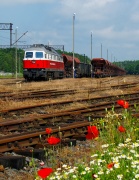 Pierwszy dzień Wiosny